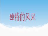 2.《独特的风采》课件PPT