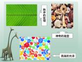 13.5發(fā)現(xiàn)與創(chuàng)造課件PPT
