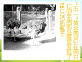 4 公益招贴设计 课件PPT+素材