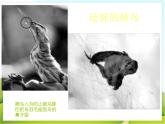 4 公益招贴设计 课件PPT+素材
