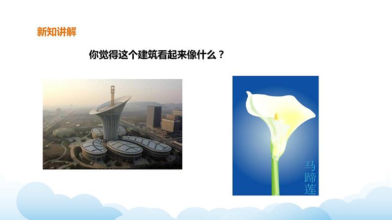 岭南版美术九年级下册：第12课 自然·设计（课件+教案）02