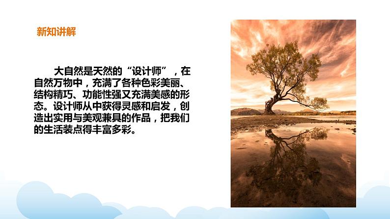 岭南版美术九年级下册：第12课 自然·设计（课件+教案）03