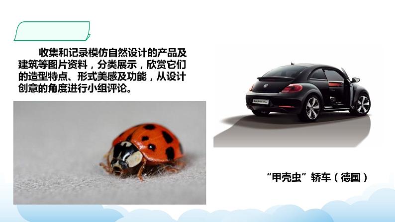 岭南版美术九年级下册：第12课 自然·设计（课件+教案）08