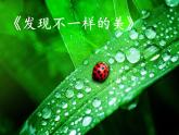 发现不一样的美 课件