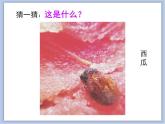 发现不一样的美 课件
