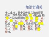 4.生肖的聯(lián)想課件PPT