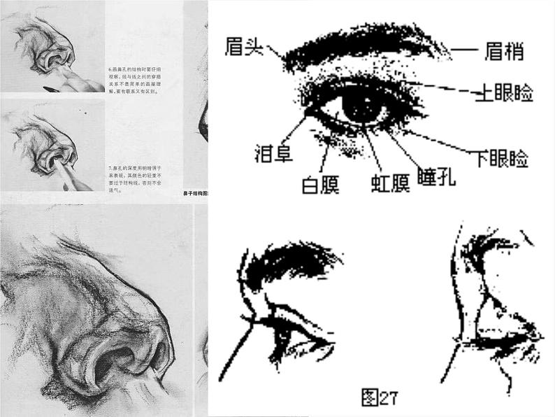 苏少版美术七下第二课《关注你、我、他》ppt课件4第2页