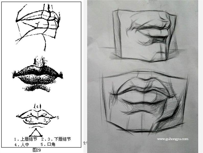 苏少版美术七下第二课《关注你、我、他》ppt课件4第3页