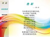 苏少版美术七下第六课《多变的色彩》ppt课件