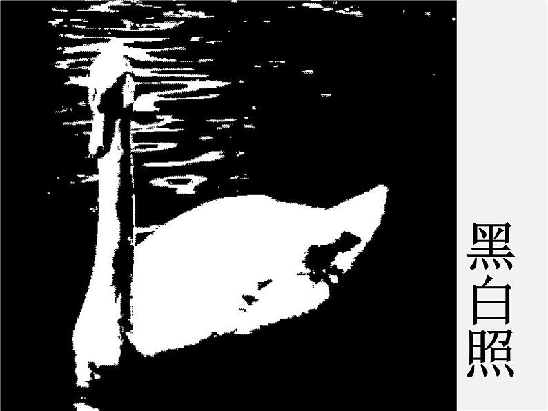 第二课黑白世界课件PPT第4页