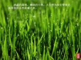 第三課  畫家筆下的質(zhì)感課件PPT
