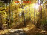 第一课 画家乡的风景课件PPT