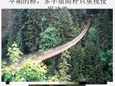 湘教版美术七下第二课《桥》ppt课件2