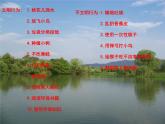 17美好的家园课件PPT