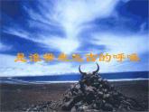 人美版美術(shù)七上第十二課《面具設(shè)計(jì)制作》ppt課件2