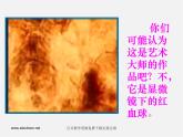 人美版美术七上第十课《生活中色彩搭配》ppt课件2