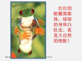 人美版美术七上第十课《生活中色彩搭配》ppt课件2
