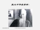 人美版美術(shù)八上第三課《墨與彩的韻味》ppt課件
