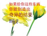 人美版美術(shù)八上第十四課《奇異的結(jié)果》ppt課件1