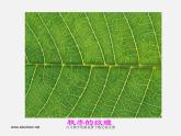 人美版美術(shù)九上第八課《發(fā)現(xiàn)與創(chuàng)造》ppt課件