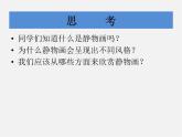 人美版美術(shù)九上第二課《風(fēng)格多樣的靜物畫(huà)》ppt課件4