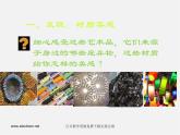 人美版美術(shù)九上第八課《發(fā)現(xiàn)與創(chuàng)造》ppt課件1