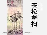 湘教版美术八上第二课《苍松翠柏》ppt课件3