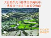 湘教版美术八上第六课《光影的交响》ppt课件1