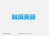 湘教版美术八上第四课《触摸美丽》ppt课件