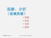 湘教版美术八上第四课《触摸美丽》ppt课件