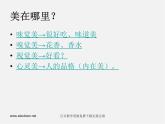 湘教版美术八上第四课《触摸美丽》ppt课件2
