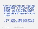 湘教版美术七上第四课《梅竹精神》ppt课件