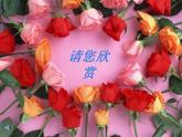 湘教版美术七上第五课《花圃》ppt课件1