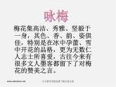 湘教版美术七上第四课《梅竹精神》ppt课件2