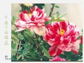 湘教版美术七上第五课《花圃》ppt课件3