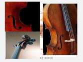 湘教版美術(shù)八下第五課《大提琴》ppt課件