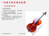 湘教版美術(shù)八下第五課《大提琴》ppt課件1
