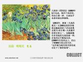 人美版美术八下第十四课《艺术品的收藏和拍卖》ppt课件