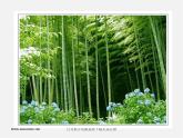 人美版美术八下第三课《中国山水画的意境》ppt课件3