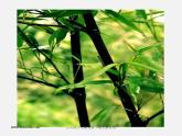 人美版美术八下第三课《中国山水画的意境》ppt课件3
