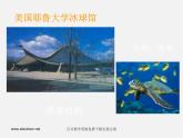人美版美术八下第十二课《体育场馆设计》ppt课件
