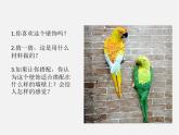 15《综合练习》课件PPT