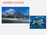 體育題材的美術(shù)作品PPT課件免費(fèi)下載