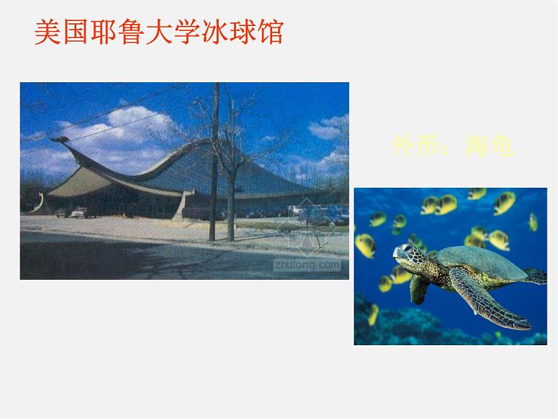 6体育场馆设计课件PPT第5页