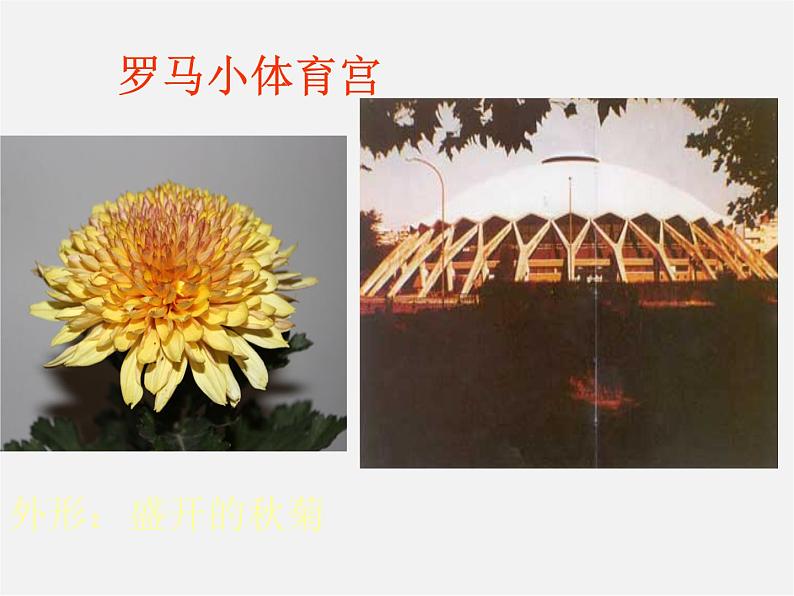 6体育场馆设计课件PPT第8页