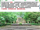 人美美術(shù)七下13.《用相機(jī)記錄我的旅行》課件+教案