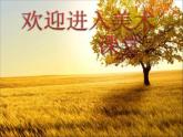 初中美術《土特產包裝設計》課件2ppt課件
