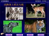 点与线的魅力PPT课件免费下载