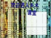初中美術(shù)1.美術(shù)欣賞與收藏-課件-(2)ppt課件