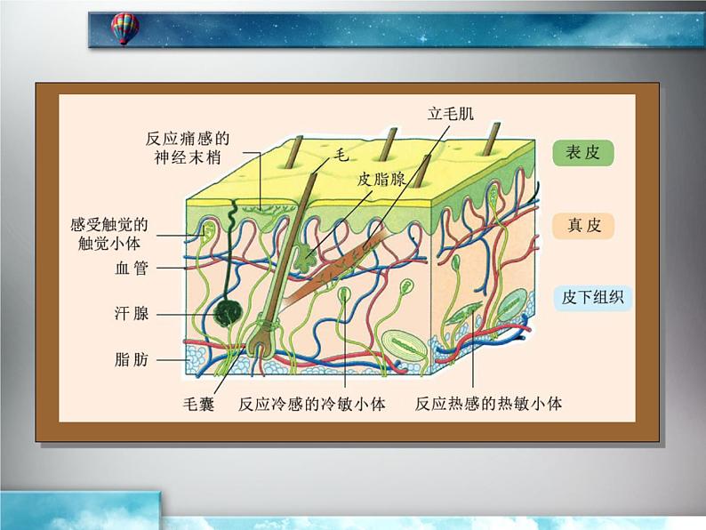 初中美术3.手绘图表-课件-(3)ppt课件04